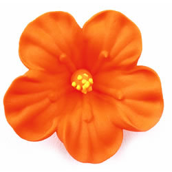 flower-hibiscus-orange